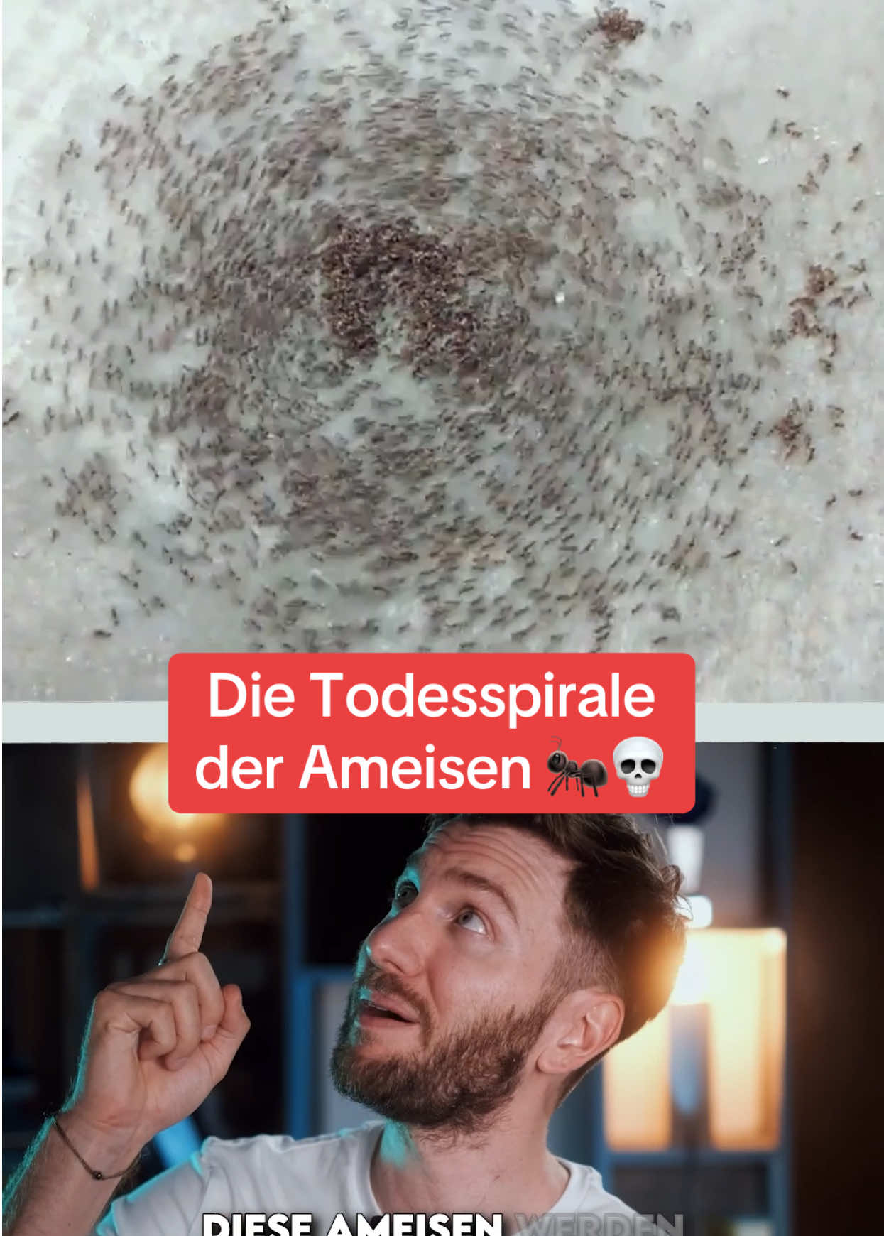 @Philipp Dubbert