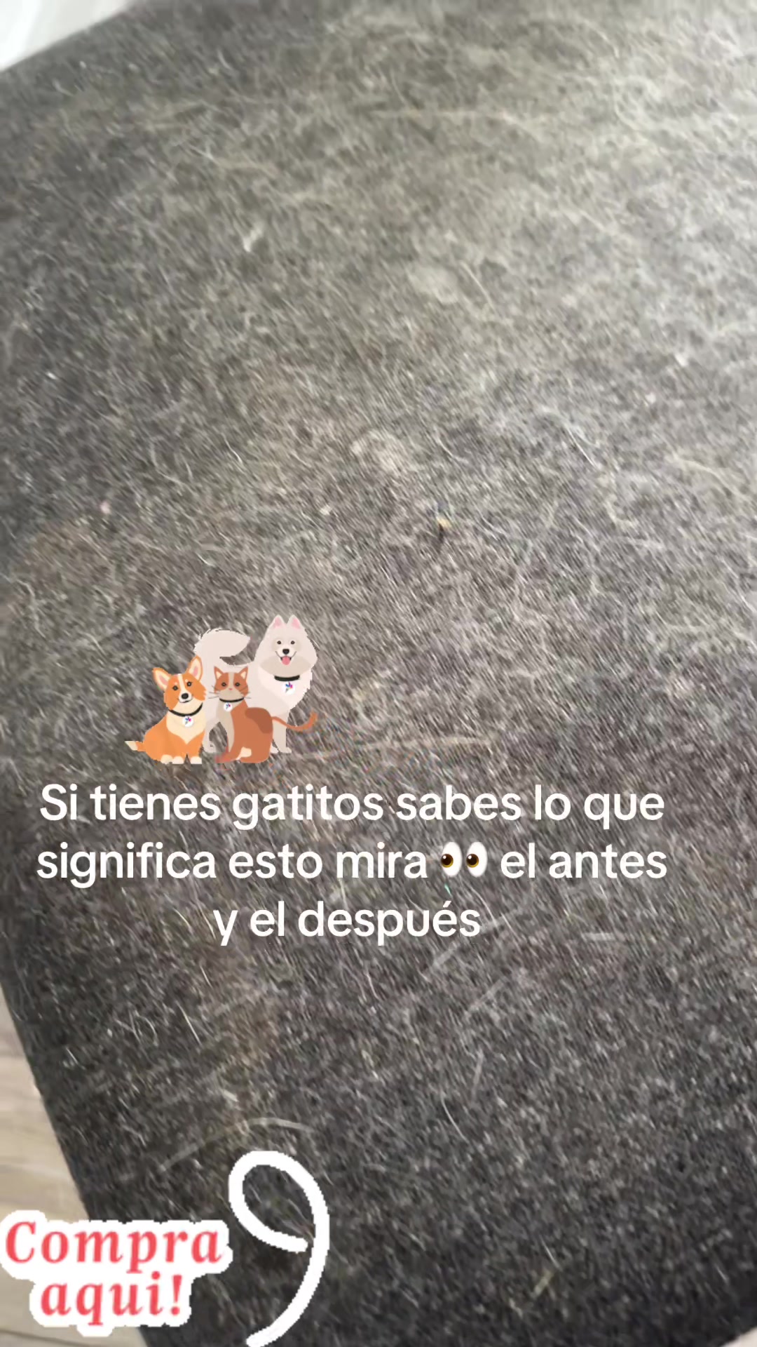 @lourdesruiz11🥰🫶🏻🎁🇸🇻☪️🌲