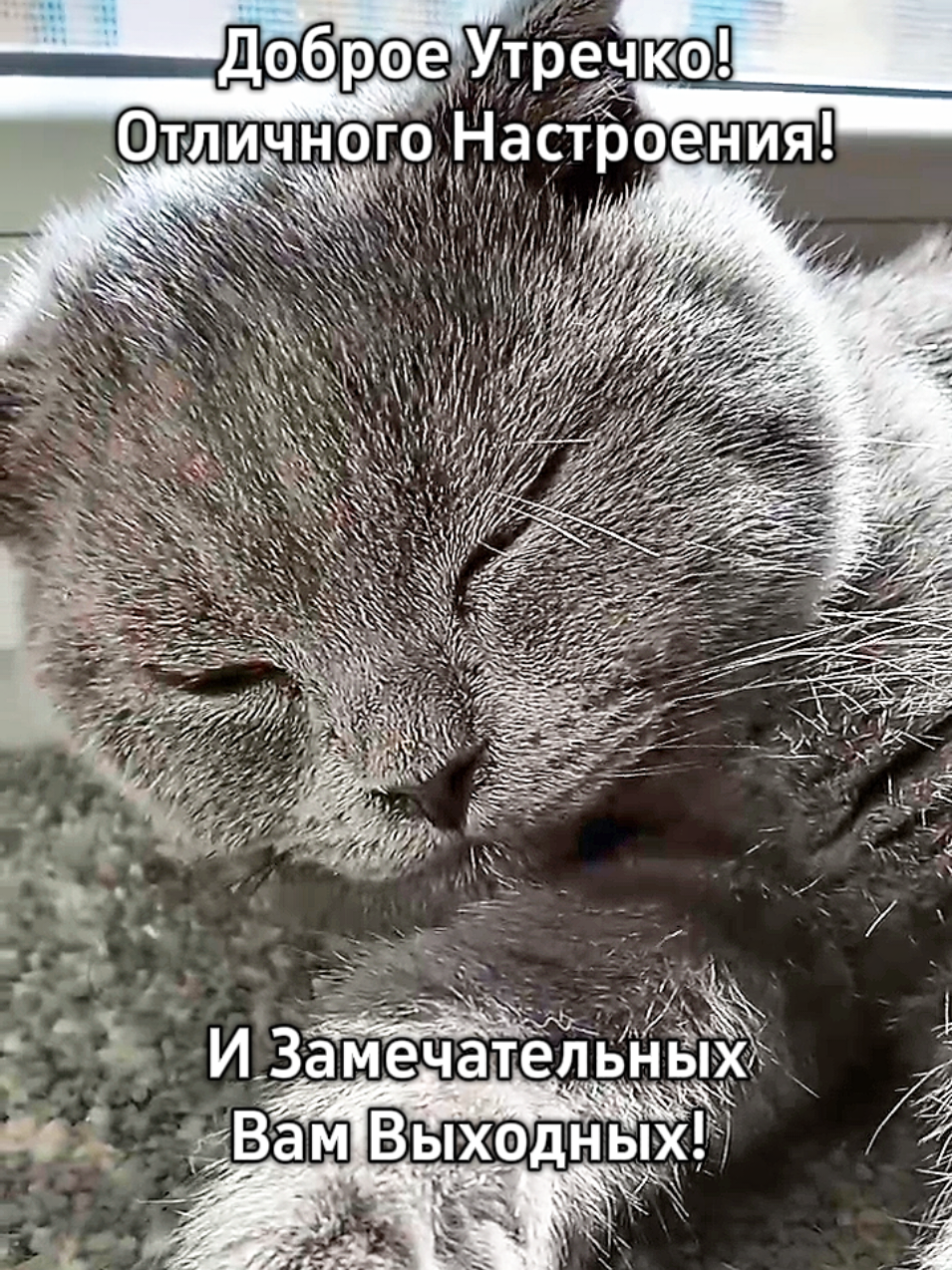 @😻Риччи&Джесси🐈Масик👼&Андрей