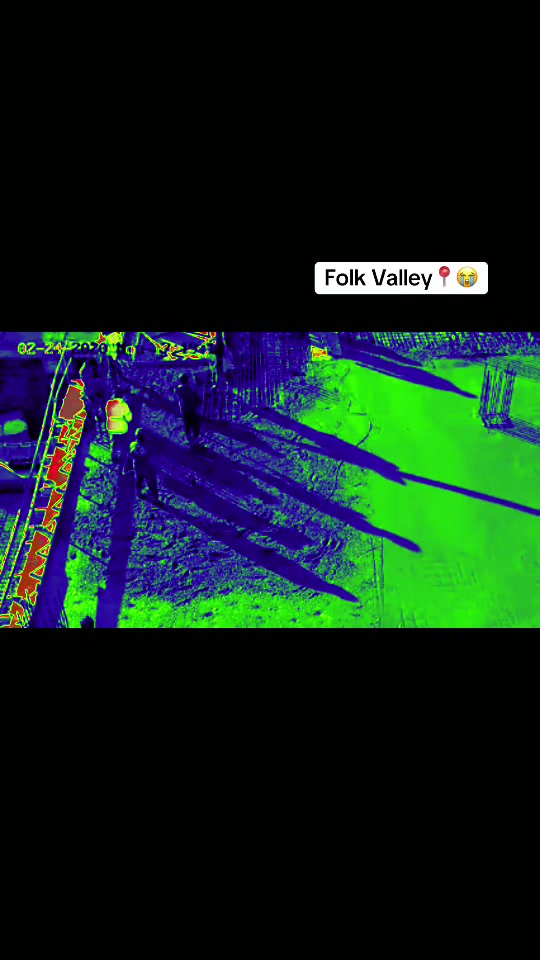 @Folk Valley