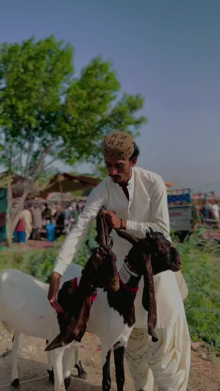 @✨.زاهد سولنگي واپاري. 🐐