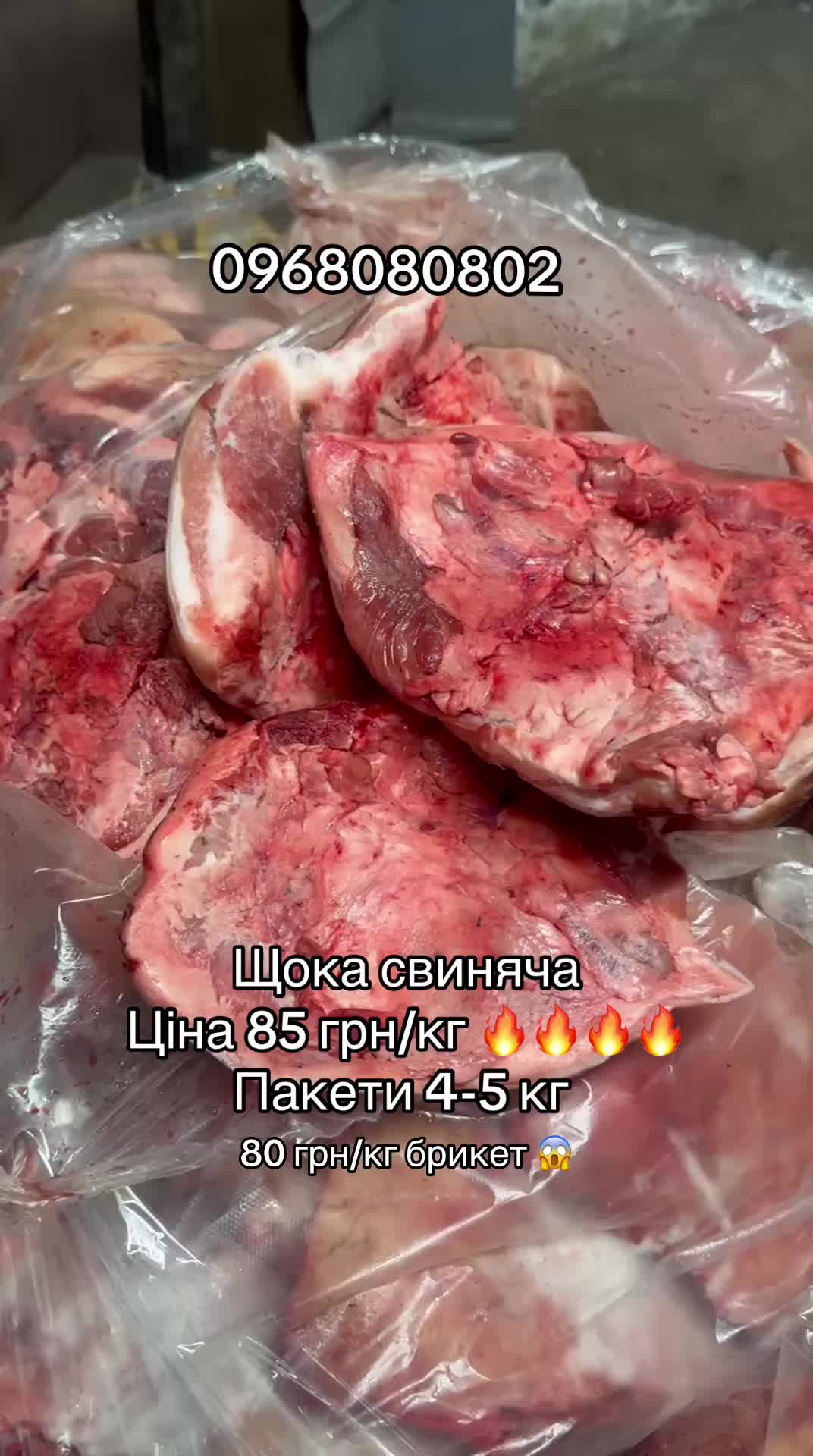 @msmakoluku