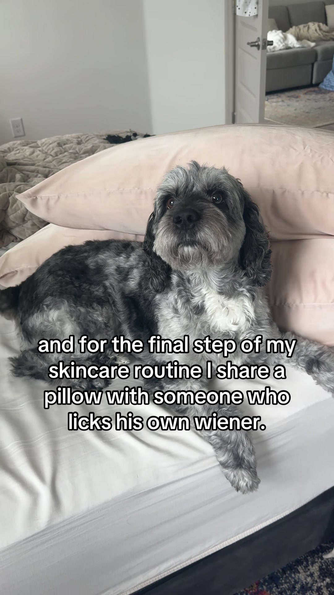 @Ashley Jayne ✨