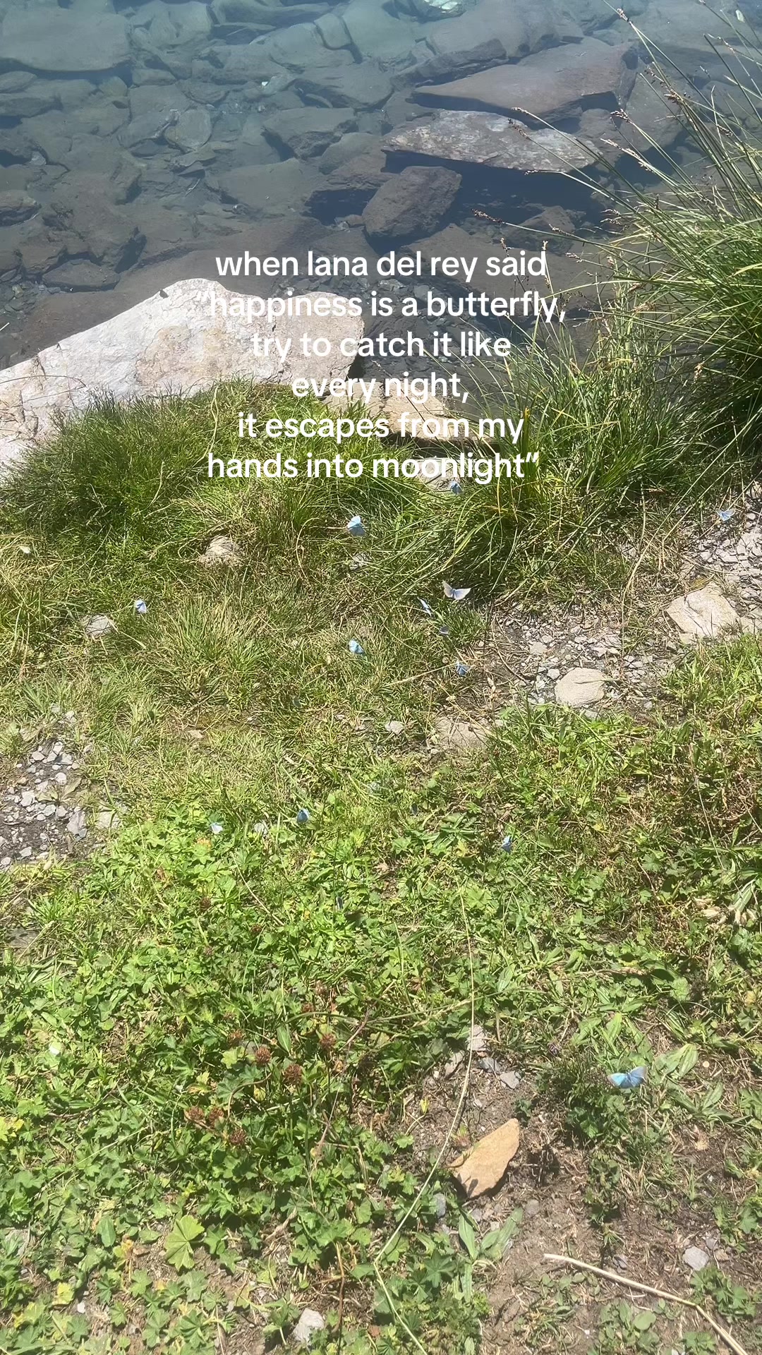 @asif