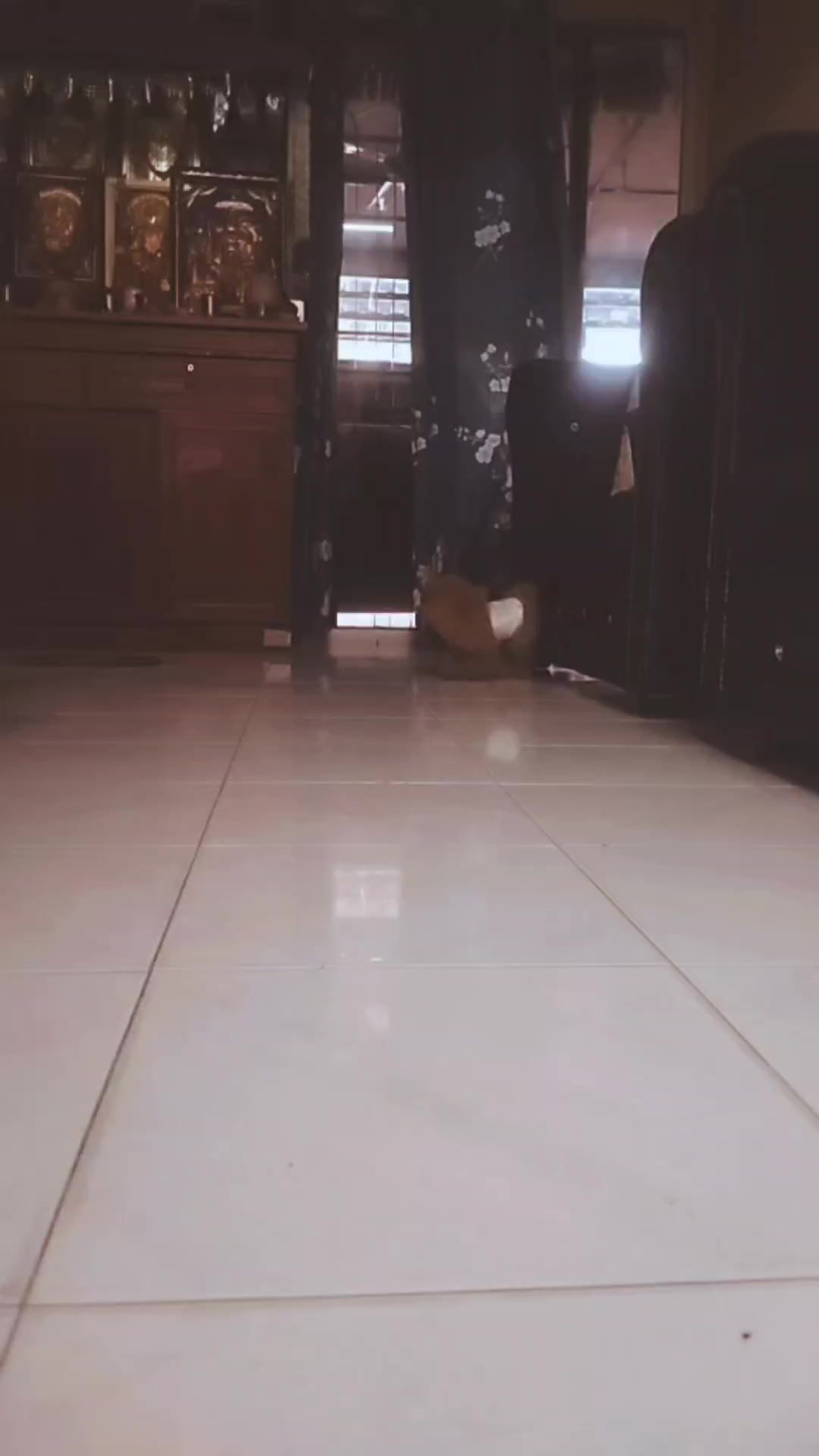 @𝓝𝓲𝓿𝓮𝓽𝓱𝓪94❤️✨