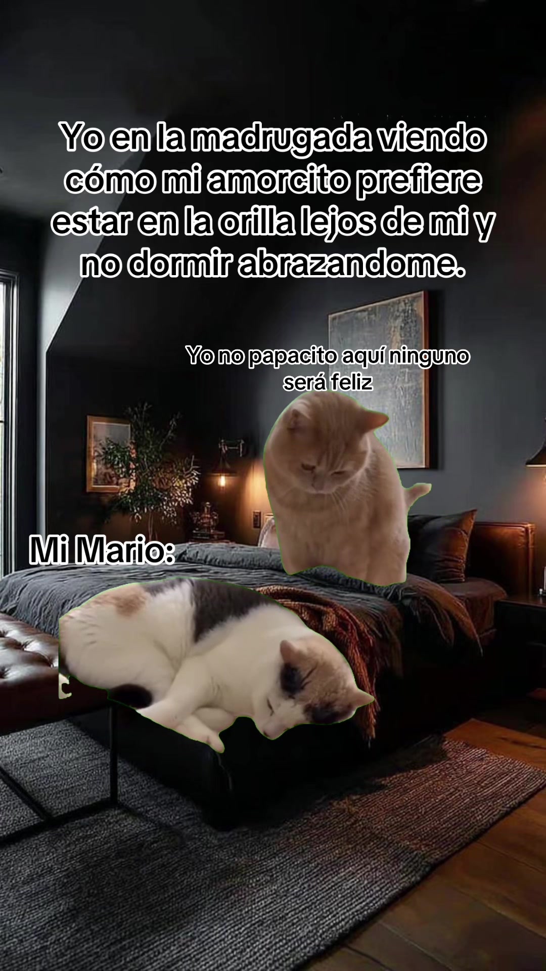 @Flakitta&Luis🫶🏻