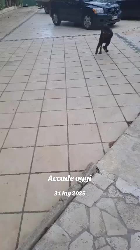 @Mariatroiano