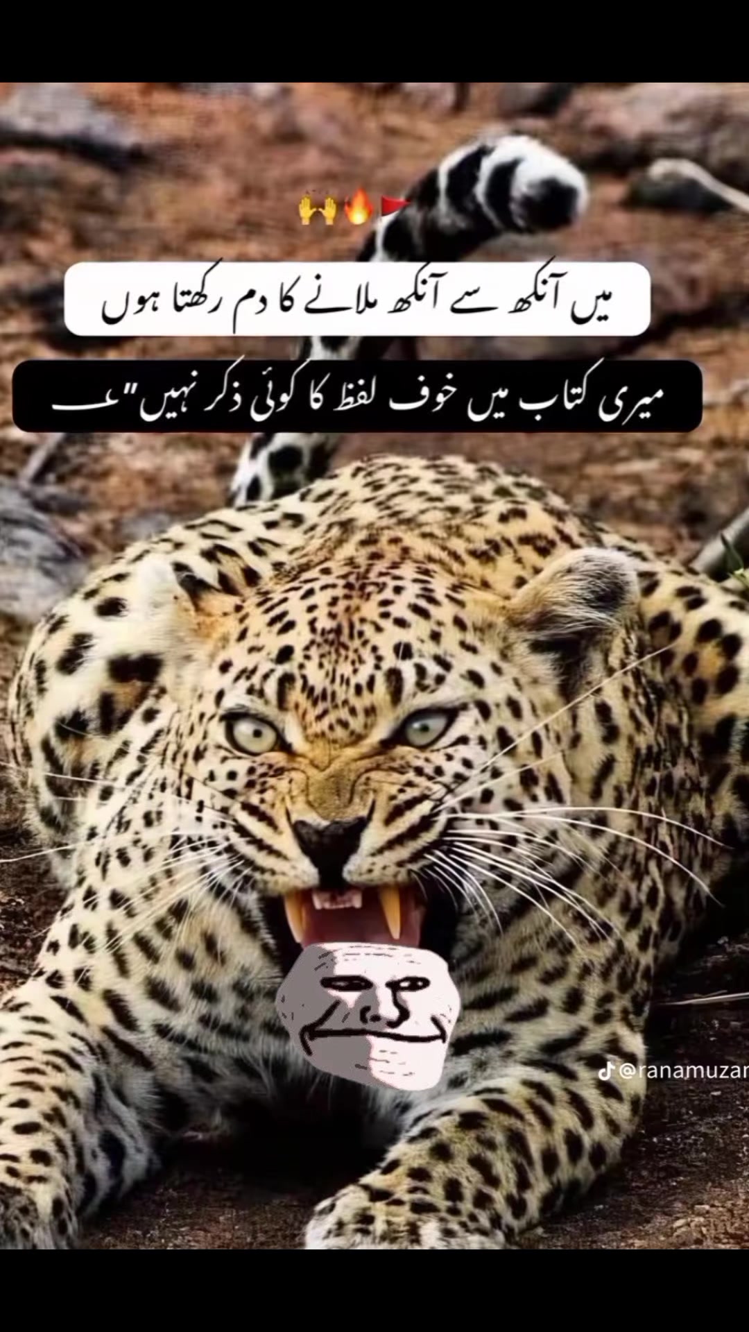 @PTI.😎 you🫣pml 👑