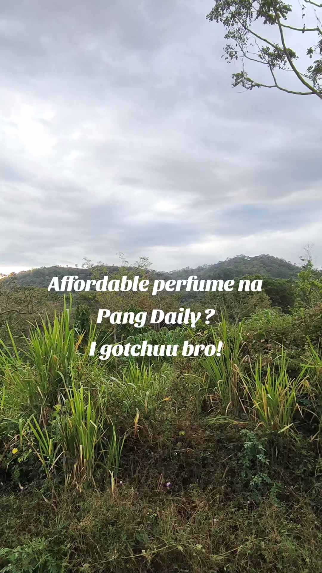 @PaÜ