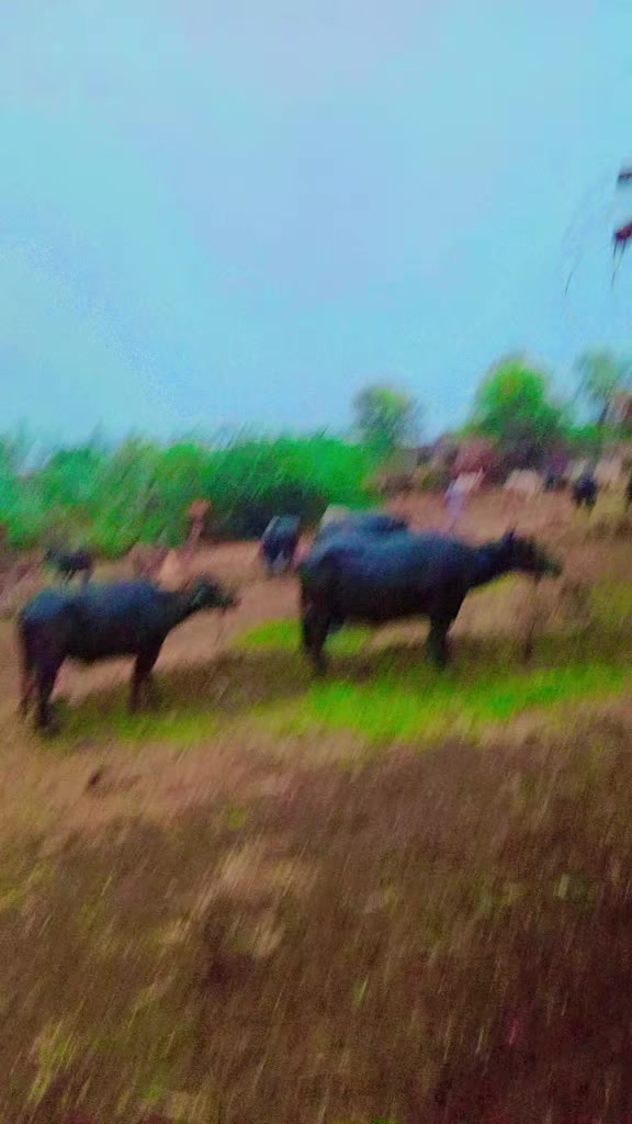@Asan das chouhan