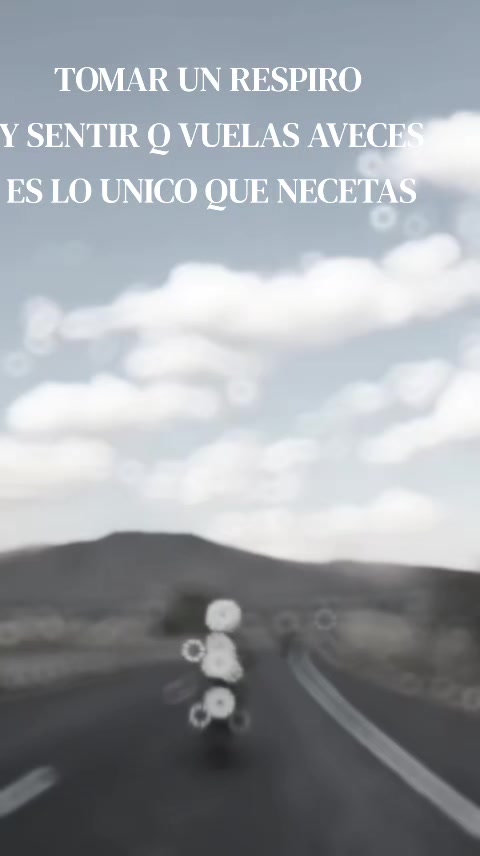 @zaldrices