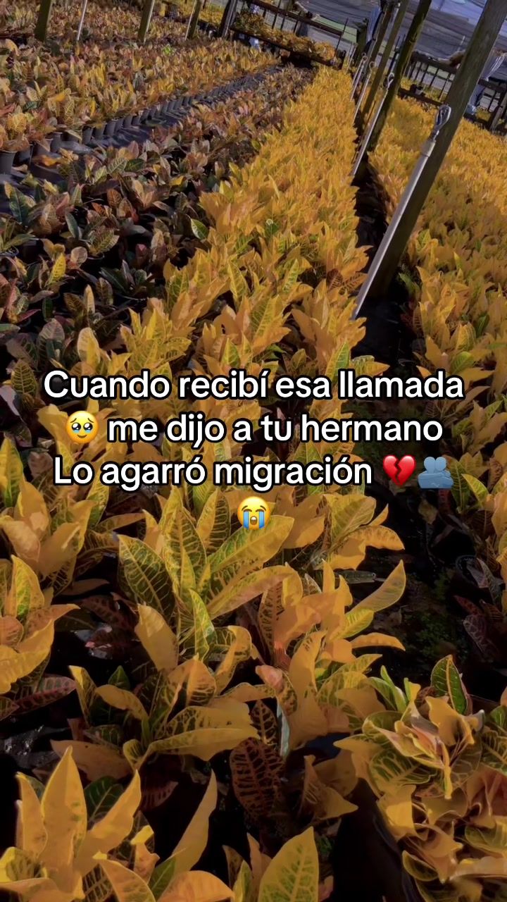 @Aitana🥰