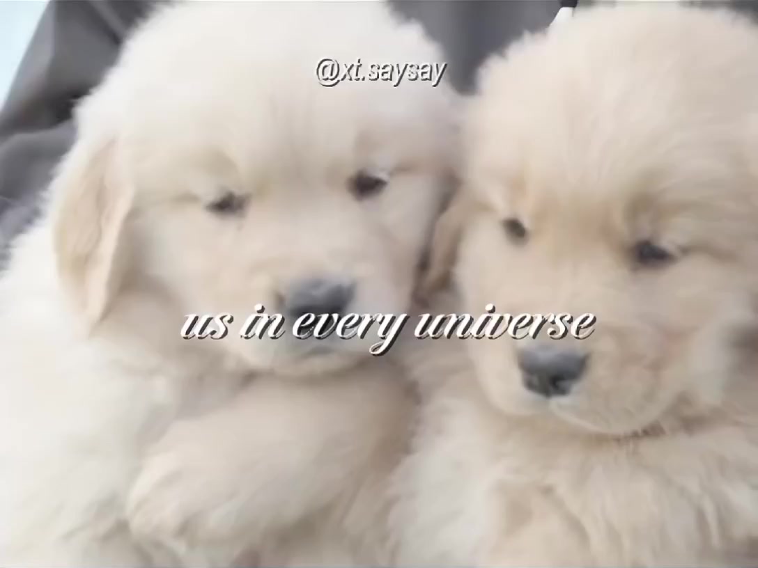 @𝐁𝐢𝐛𝐢𝐢𝜗ৎ🎱