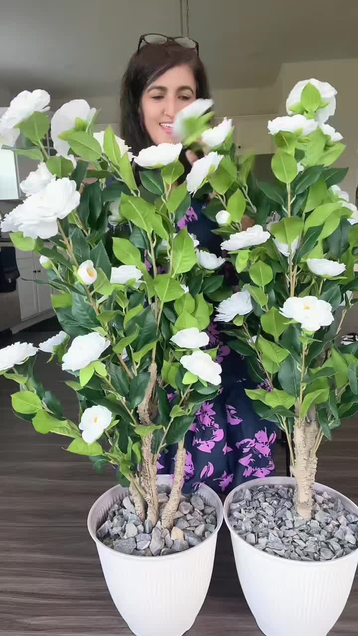 @Sita Kharel Luitel