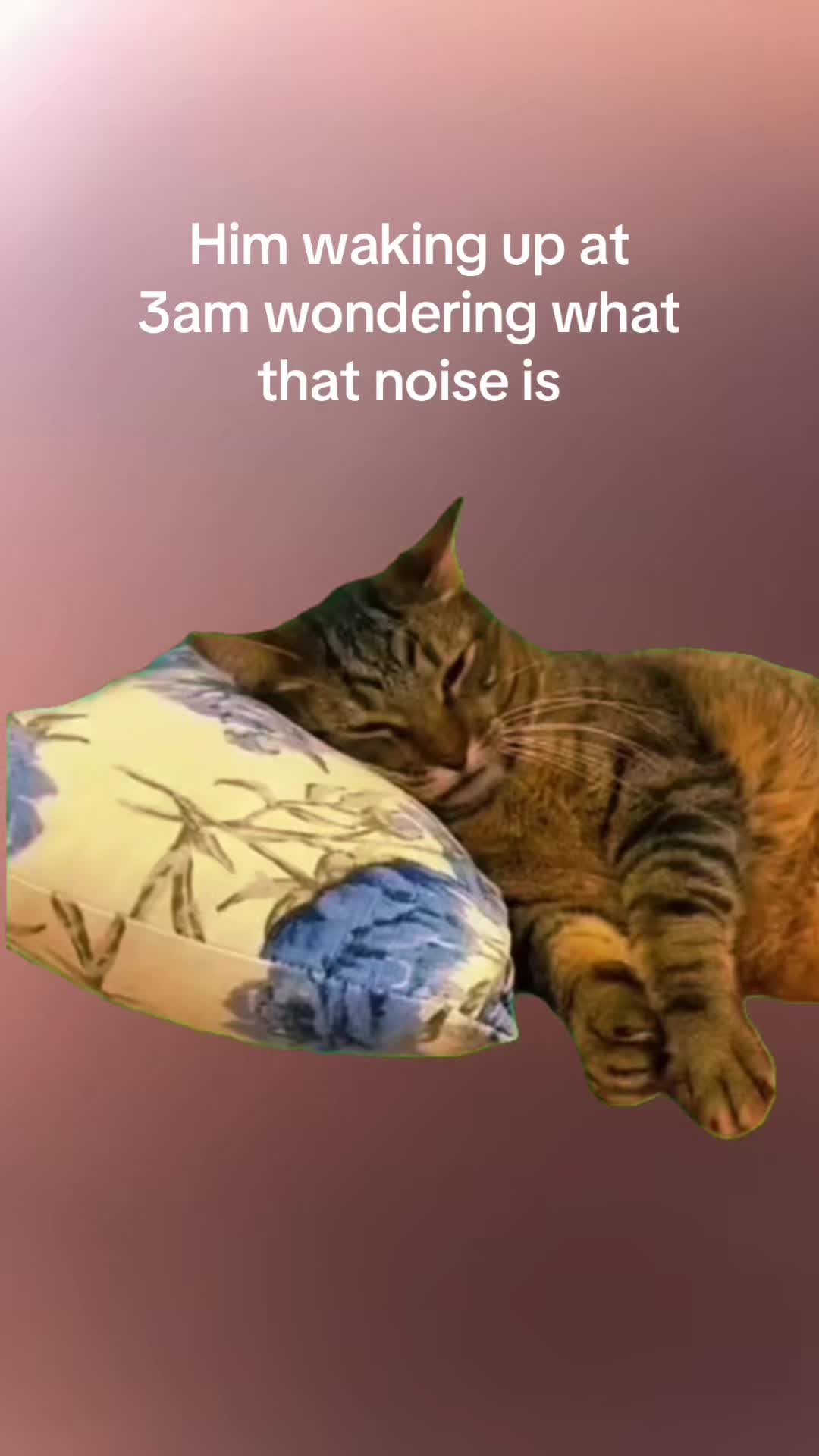 @Violet
