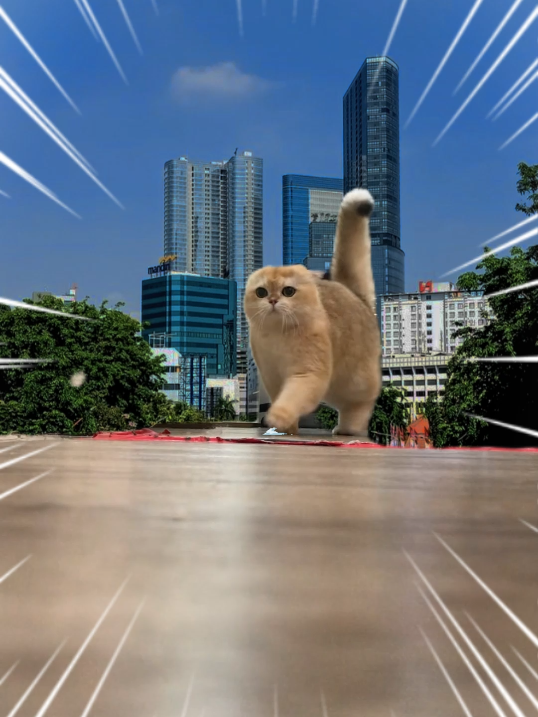 @dutchthebritishcat