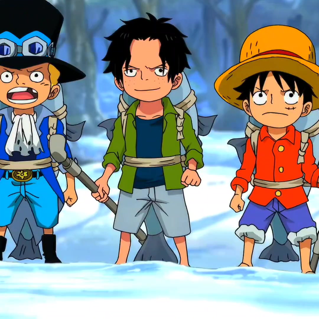 @One Piece ☠️