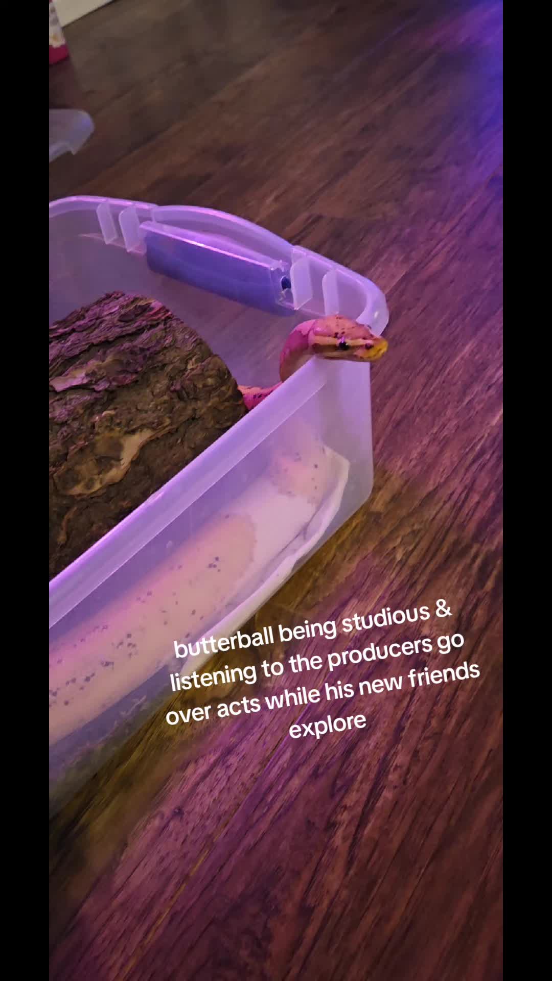 @sass_and_lemons