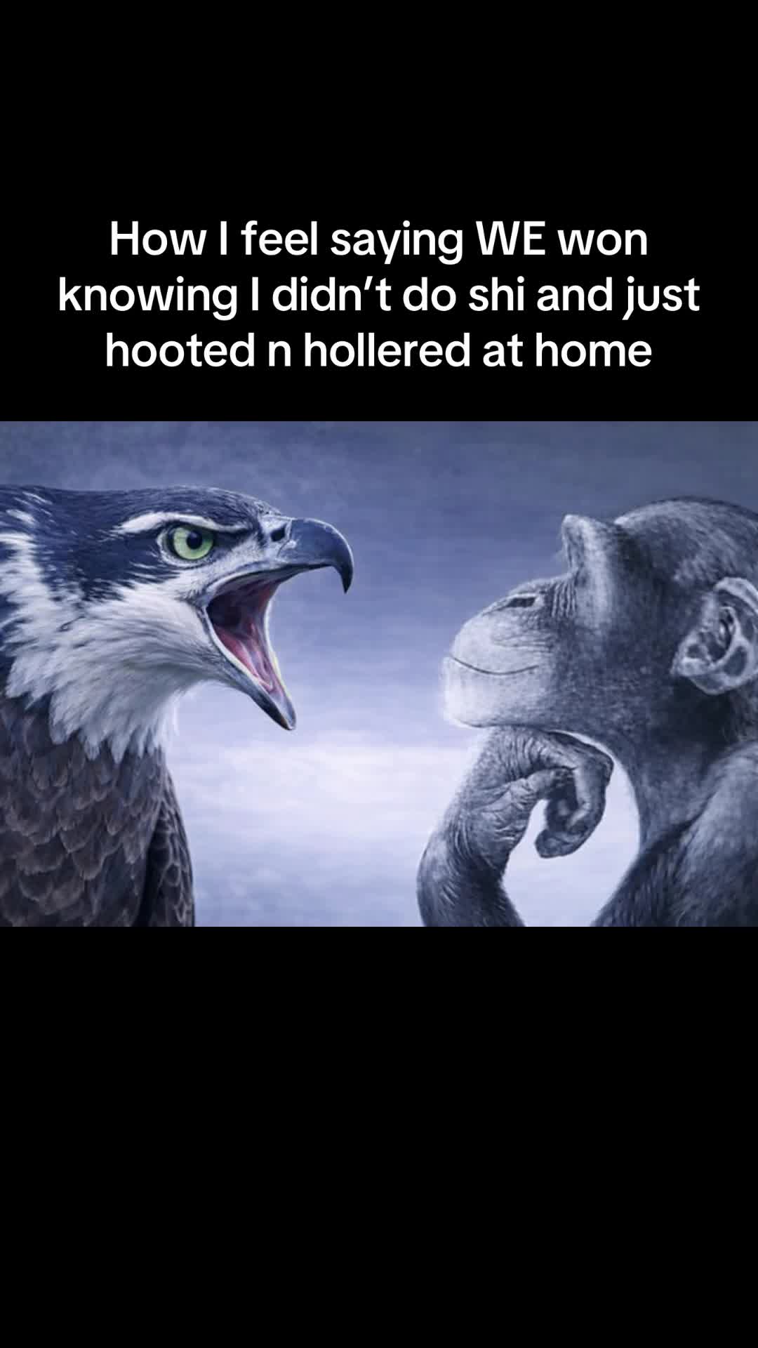 @haileynoonward