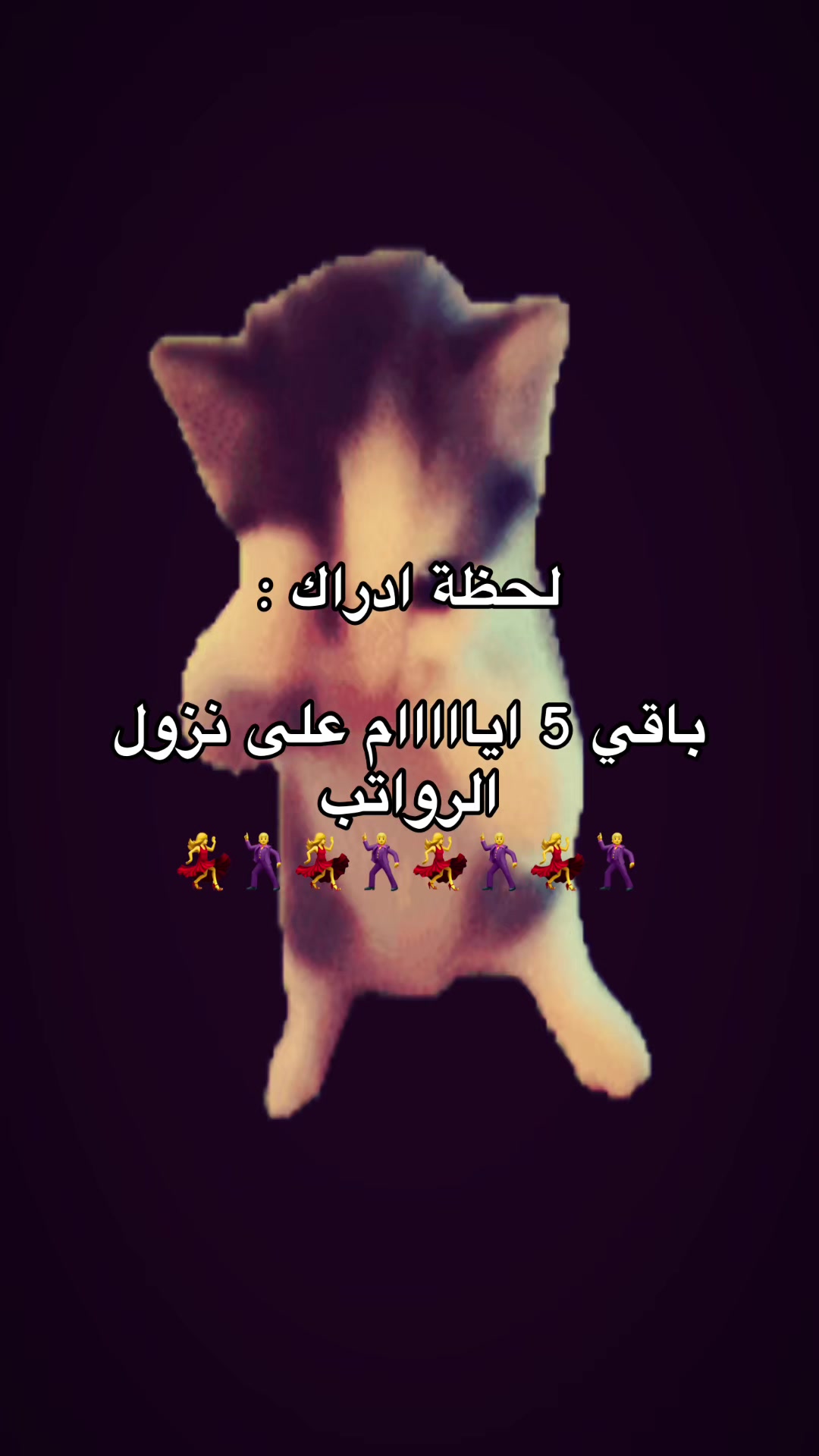 @لـ,ـؤي̲ 🇦🇪