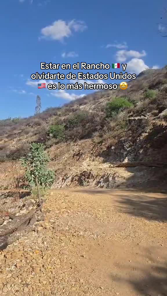 @Oscar Linares