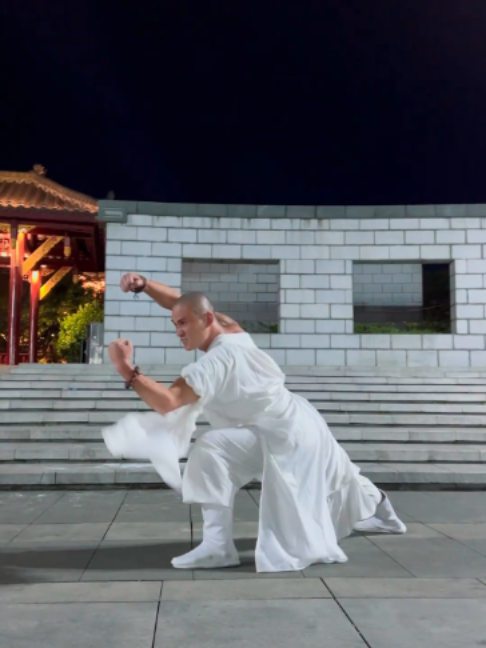 @ShaolinNextGen