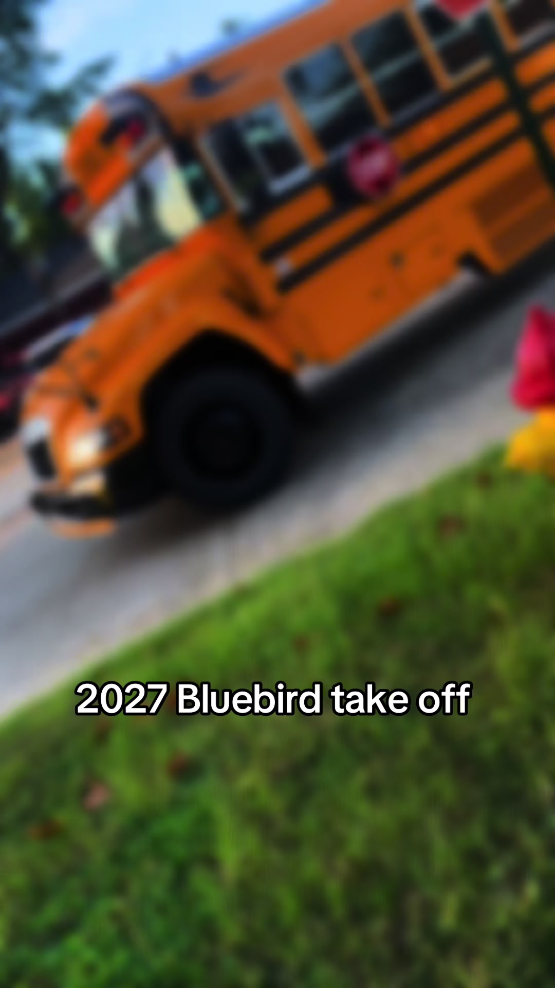 @Bluebirdbus302