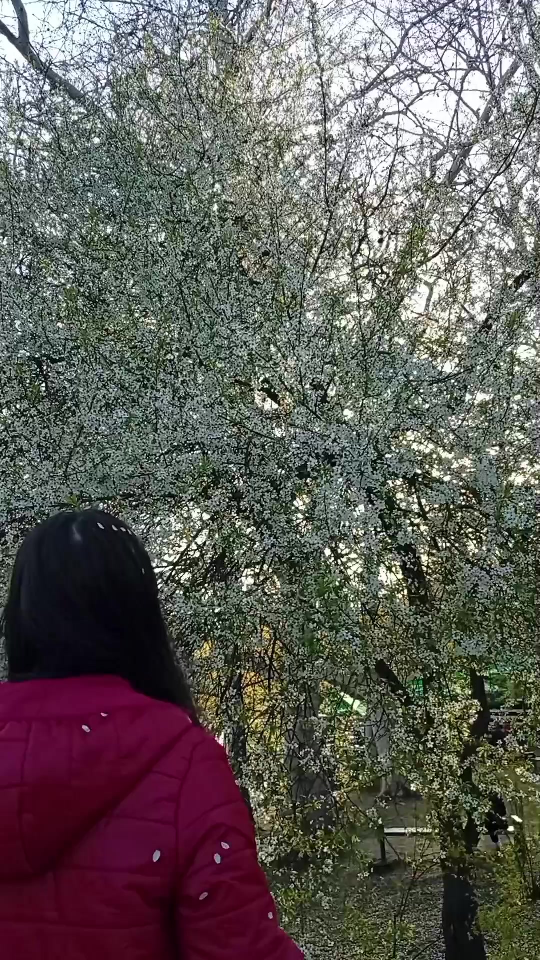 @Lenuța♈♥️Chisinau🇦🇩