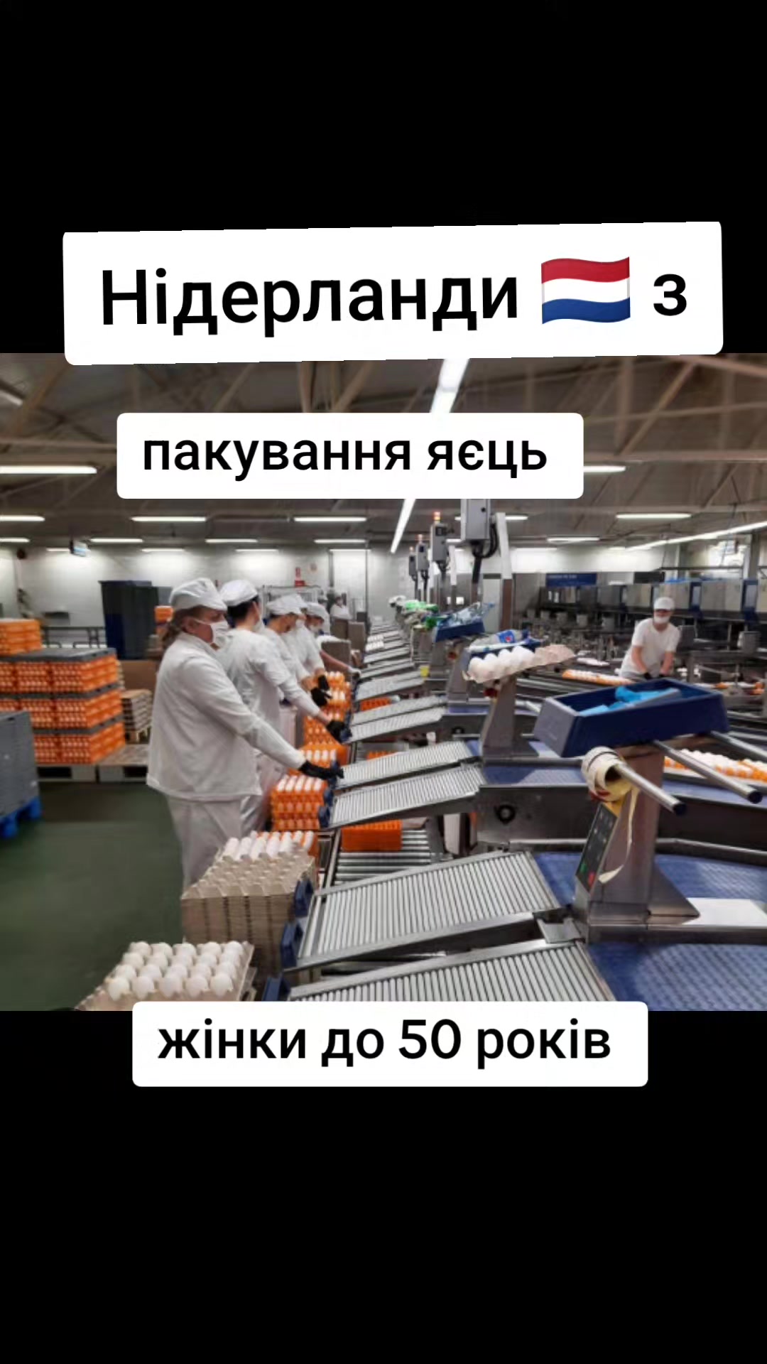 @Бельгія та Нідерланди
