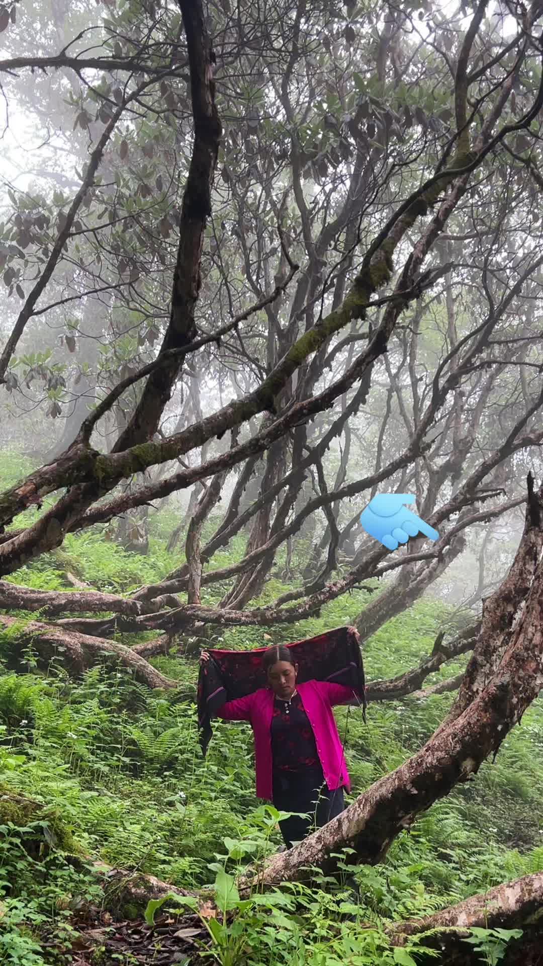@sabitagurung