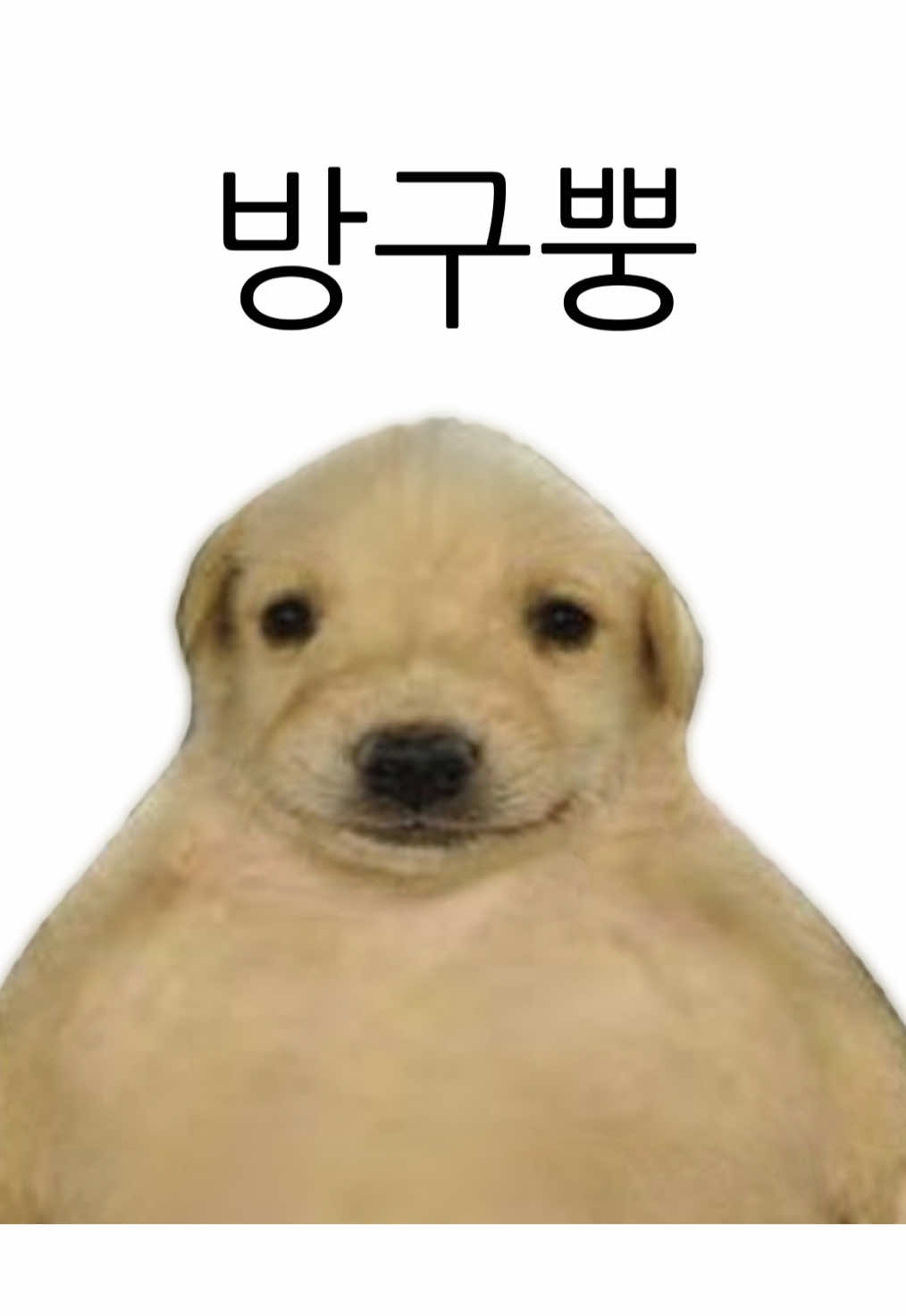 @아무개란