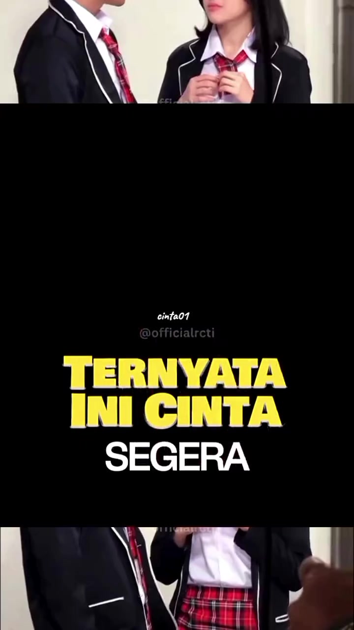 @CINTA 🐬❤️🩹