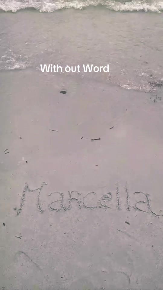 @marcellapinna352