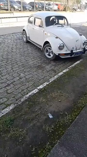 @Luiz Chiconeli