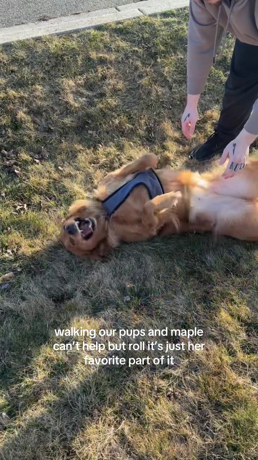 @LennyAndMaple