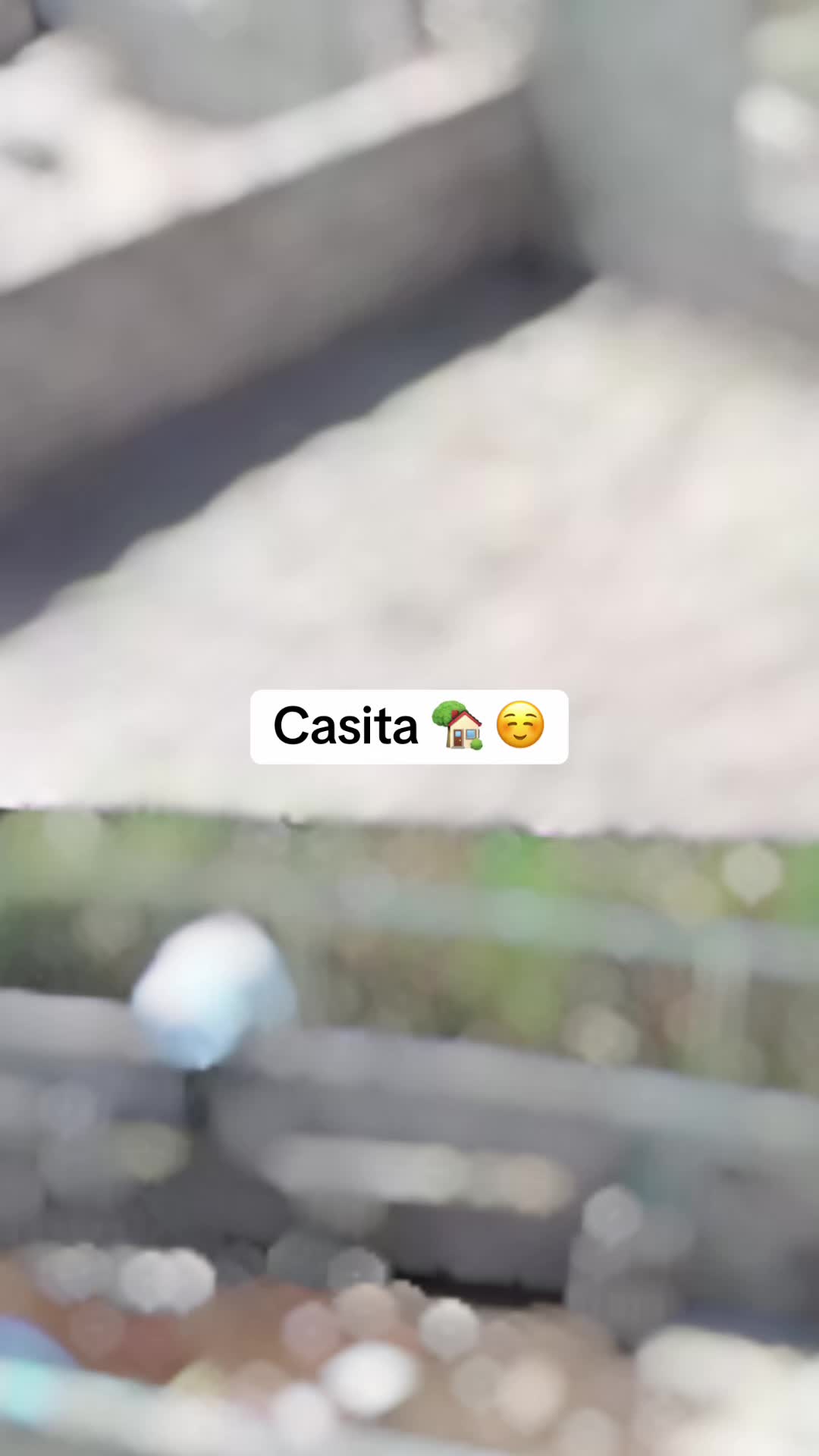 @Ana Garcia