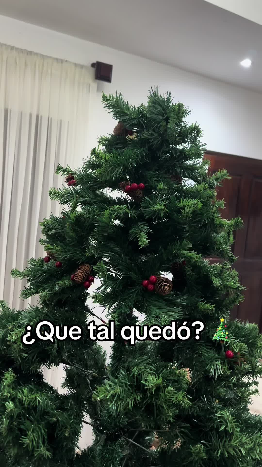 @Jorge Salazar Masis