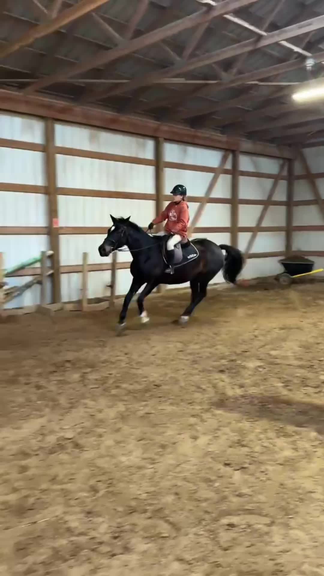 @🐴✨❤️Macky❤️✨🐴