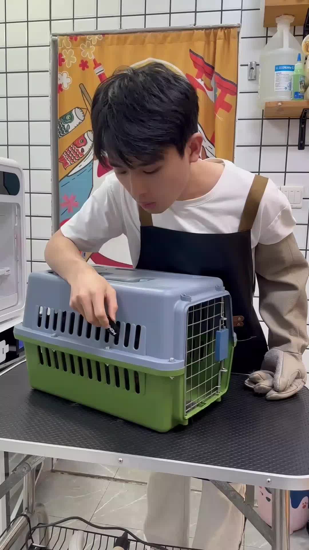 @Cat 😺 video