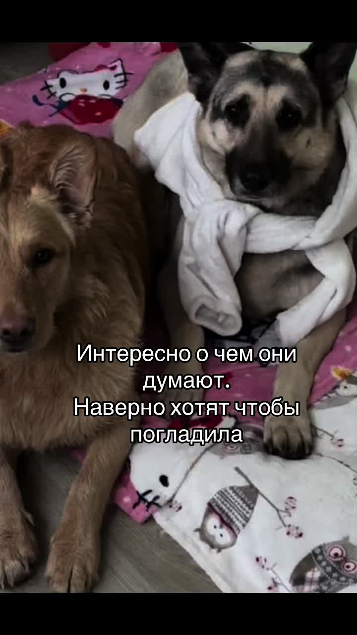 @marochkinaelena