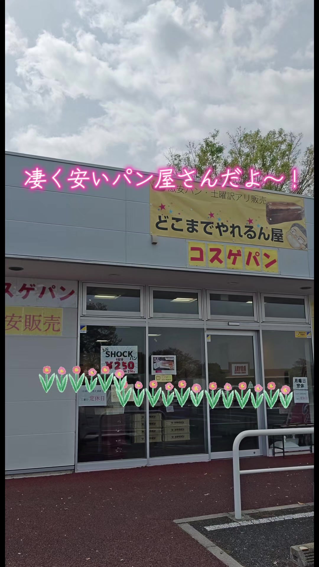 @ANIMAL♡M