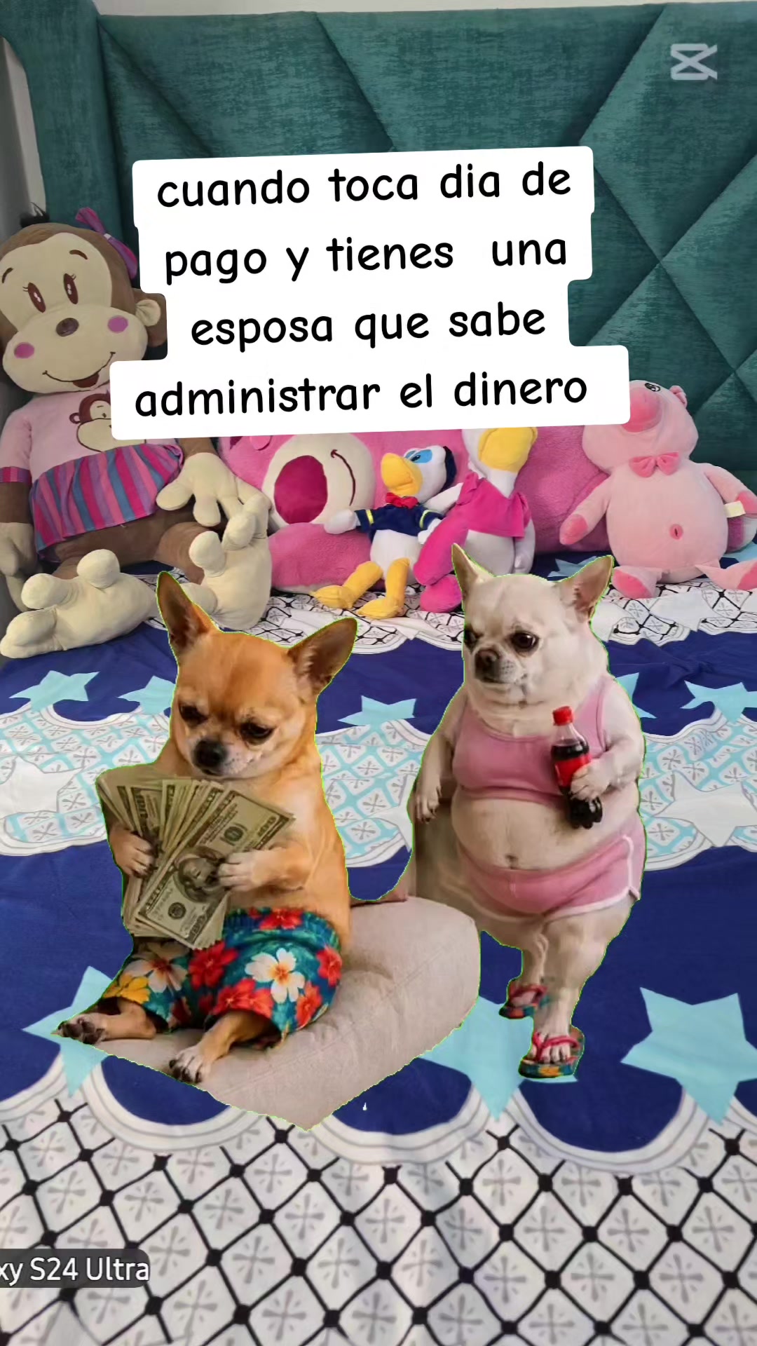 @Barbara Roo
