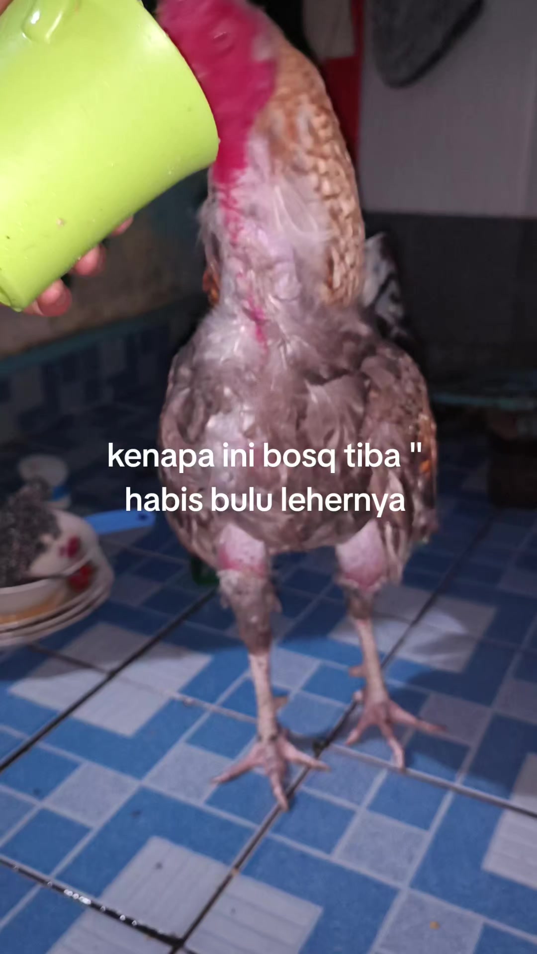 @pikkii