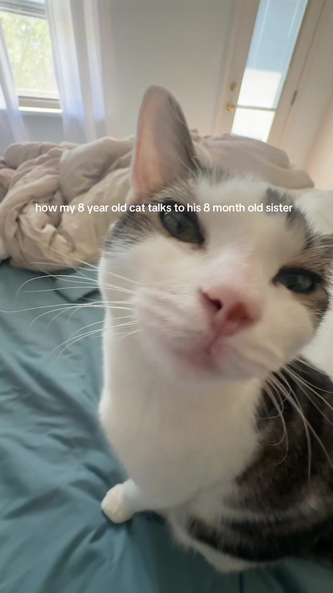 @ali