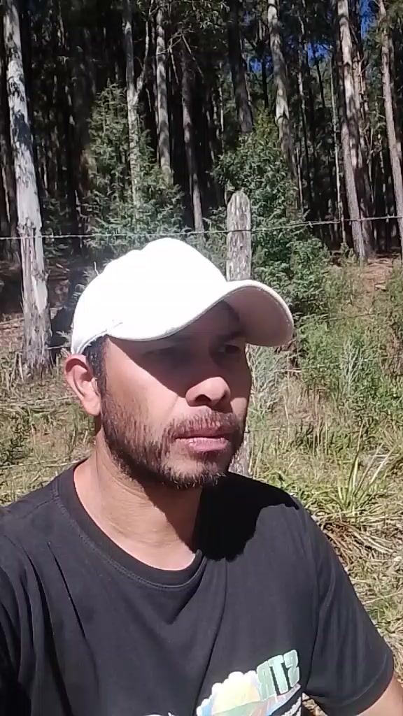 @Evandro Alves