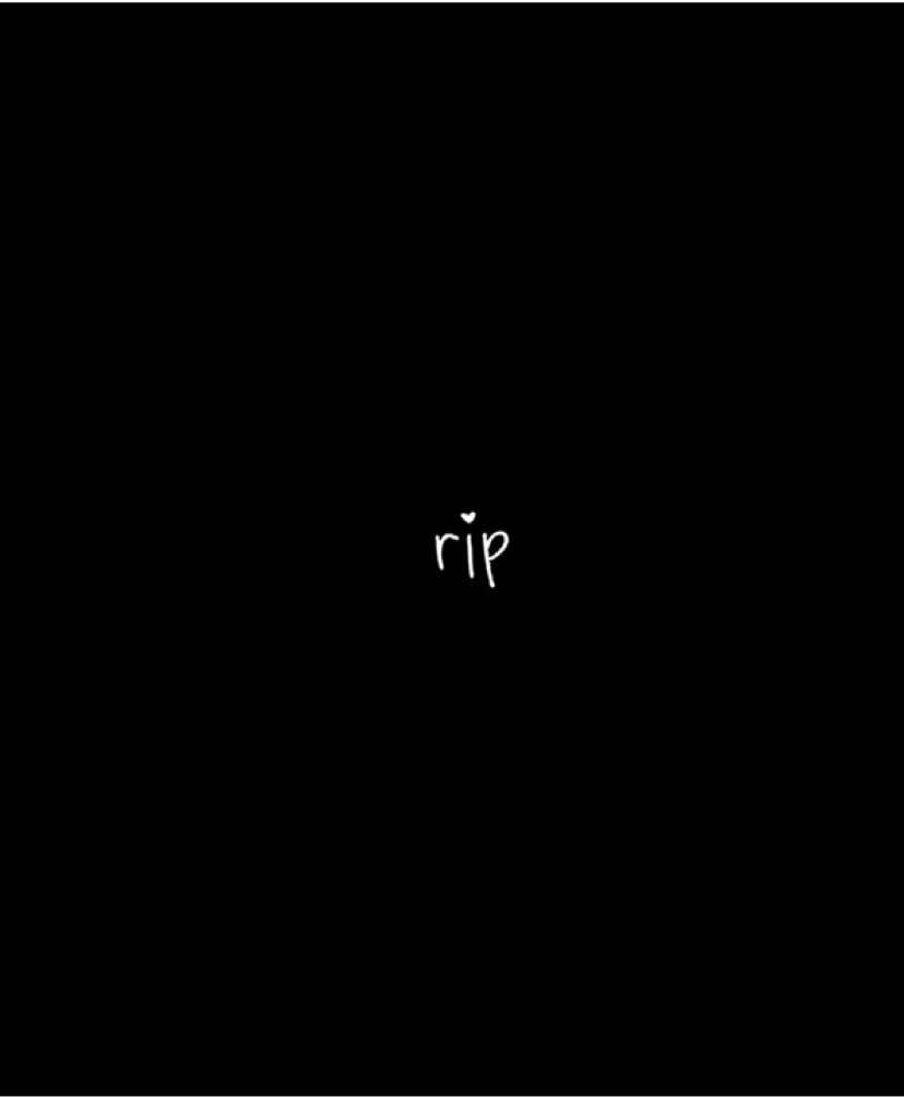 @🌞⋆.ೃ࿔*:･