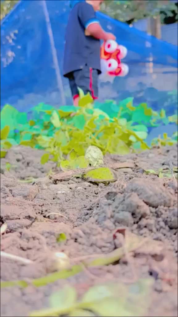 @গ্রামের বাংলার দৃশ্য
