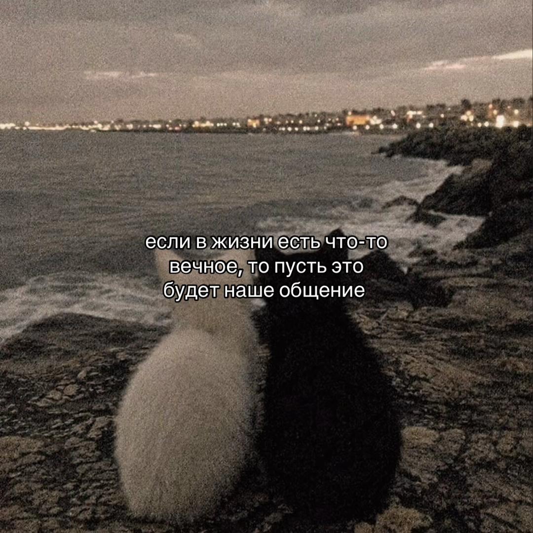 @Х̶И̶Т̶Ы̶ У̶ П̶Л̶И̶Т̶Ы̶🎧