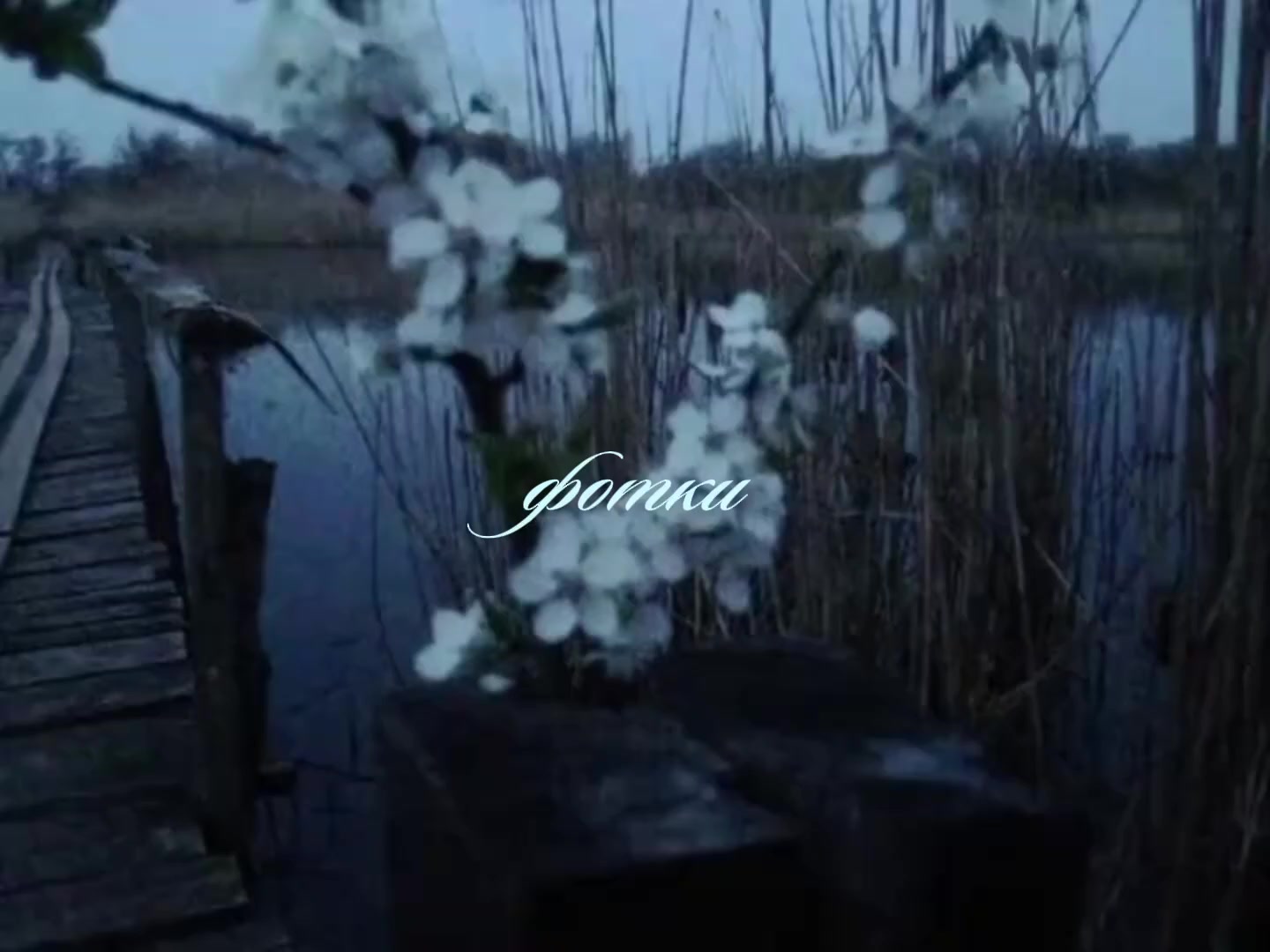 @𝒶𝓁𝒾𝓈𝒽𝒶