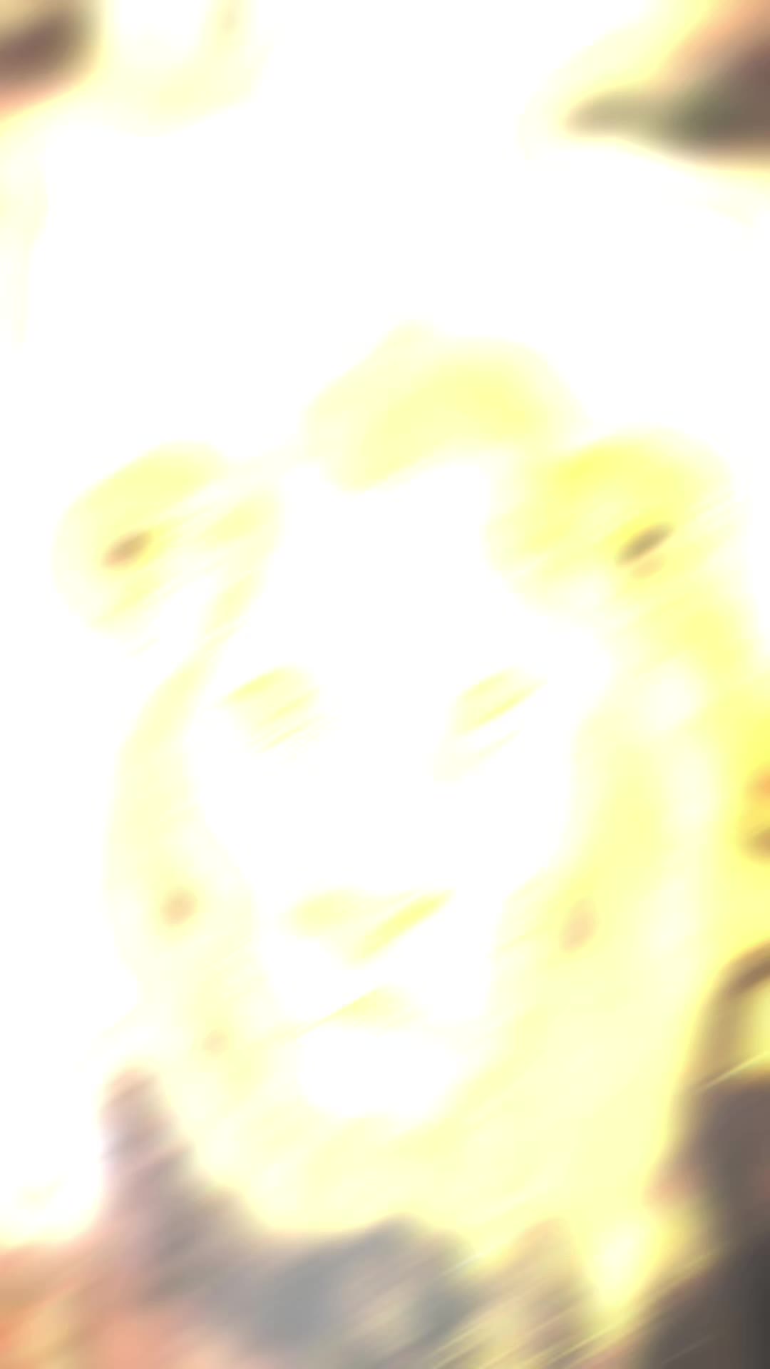 @lion_world5